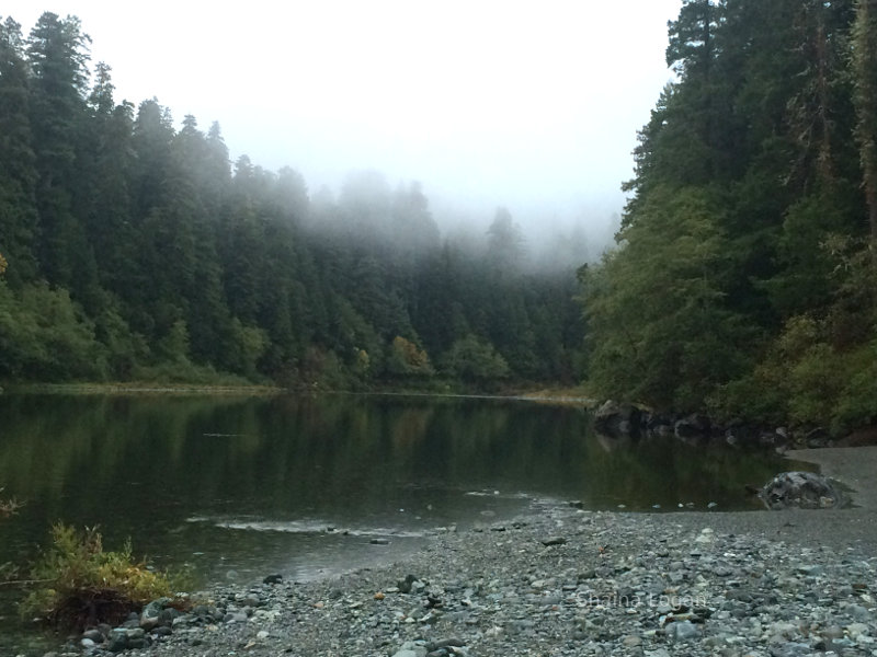 Creek in Jedediah Smith Redwoods State Park