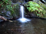 Waterfall in Washington