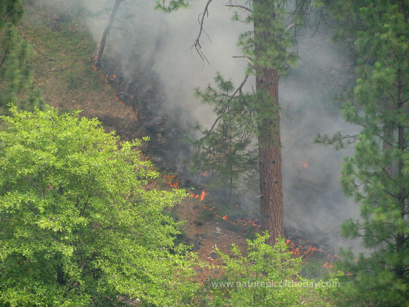 Wildfire in California