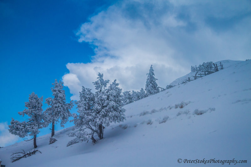 Fresh snow in April on Mount Rigi, Switzerland