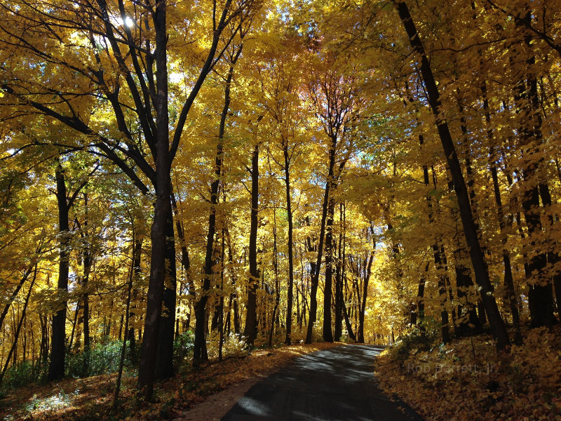 Beautiful fall colors