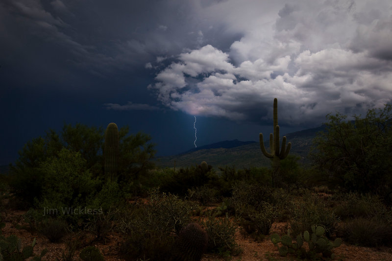 Lighting storm in Saguaro National Park, Tucson Arizona