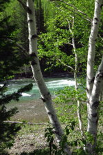 River in Glacier National Park