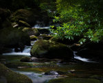 Beautiful stream below Torc Falls in Country Kerry, Ireland