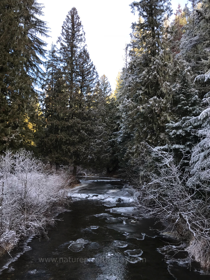 Palouse River in northern Idaho