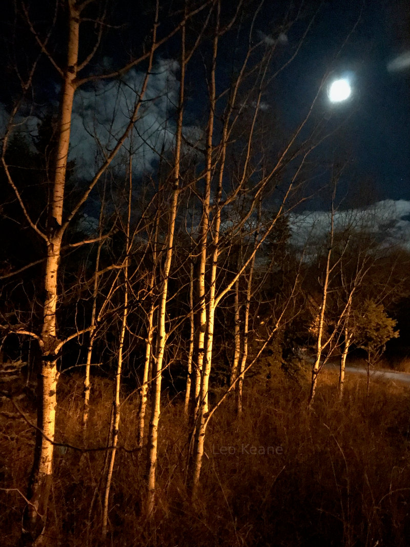 Full Moon in Whitefish, Montana