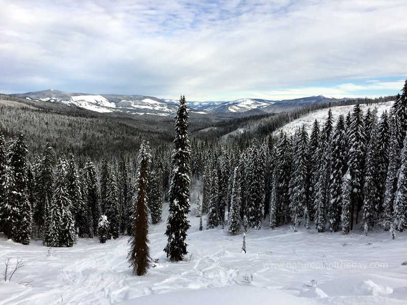 Snowmobiling Idaho