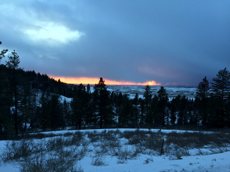 Sunset on the Palouse