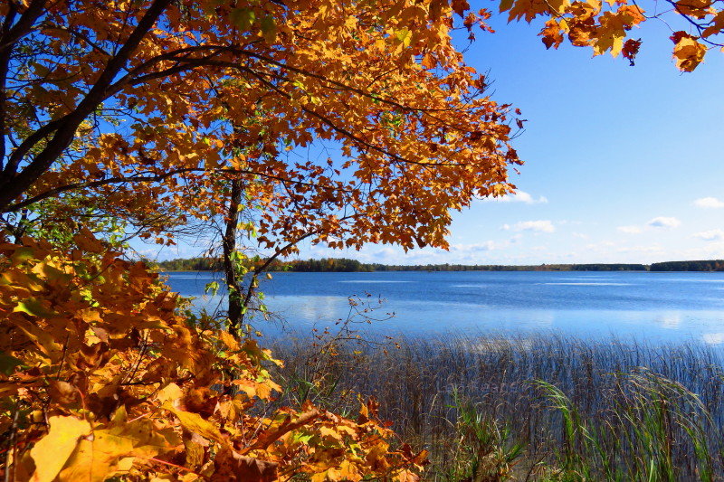 Beautiful colors in Minnesota