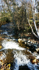 What passes for a river in Virginia