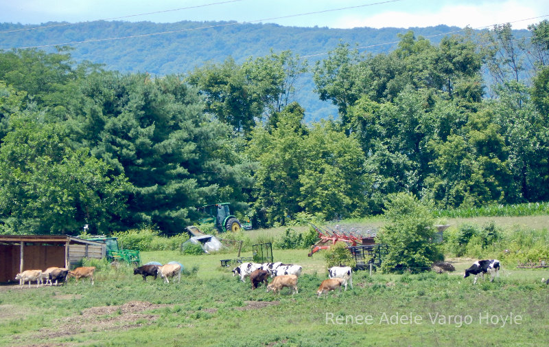Pennsylvania farm scene.