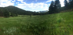 Pretty meadow in the Colorado Rockies
