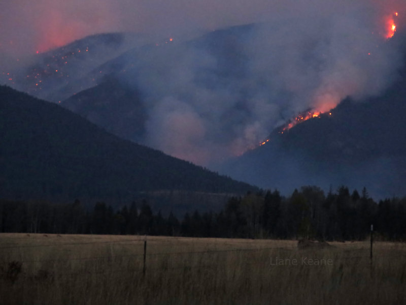 Forest Fire in Montana