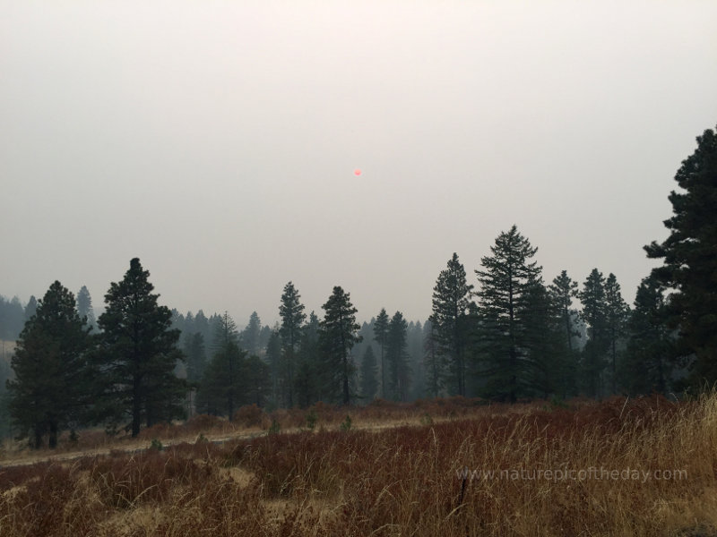 Sun through smoke over the Palouse