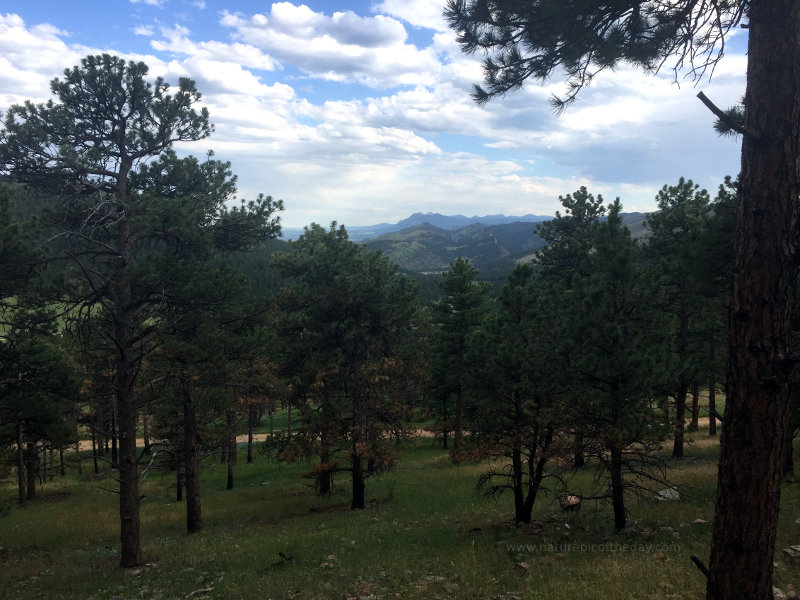 Colorado Mountains