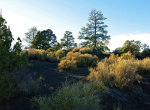 Beautiful evening desert light in Arizona