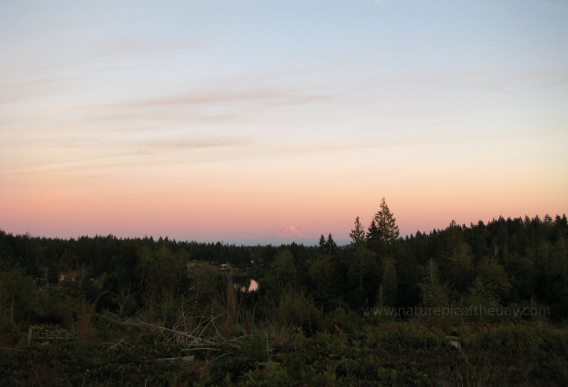 Mount Rainier at sunset.