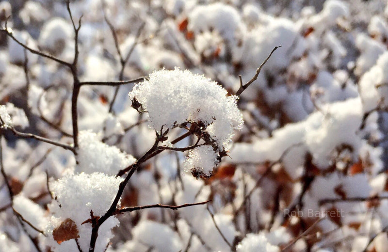 Spring in Minnesota