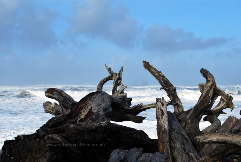 Rialto Beach