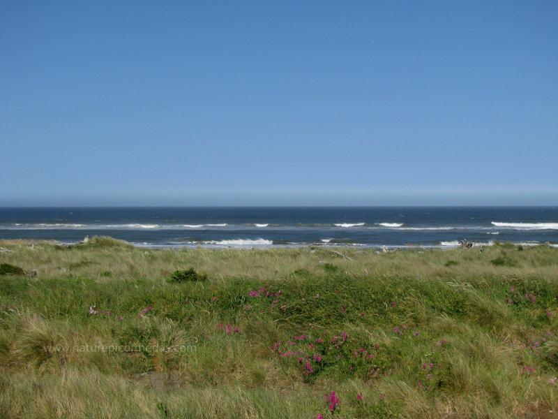 Gold Beach, Oregon