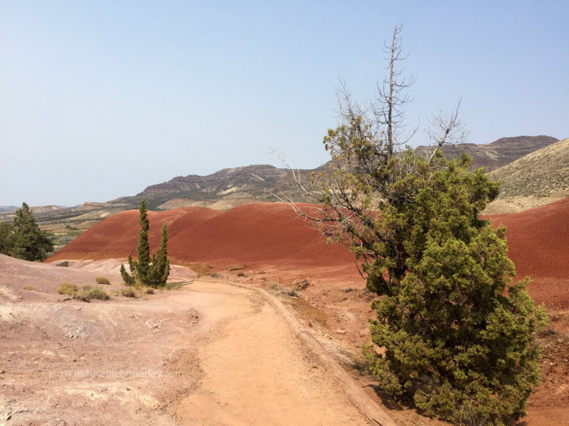 Painted Hills in Oregon