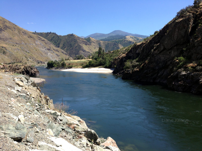 Beach on the Snake River