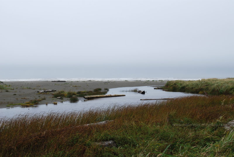 Creek flowing into the ocean.