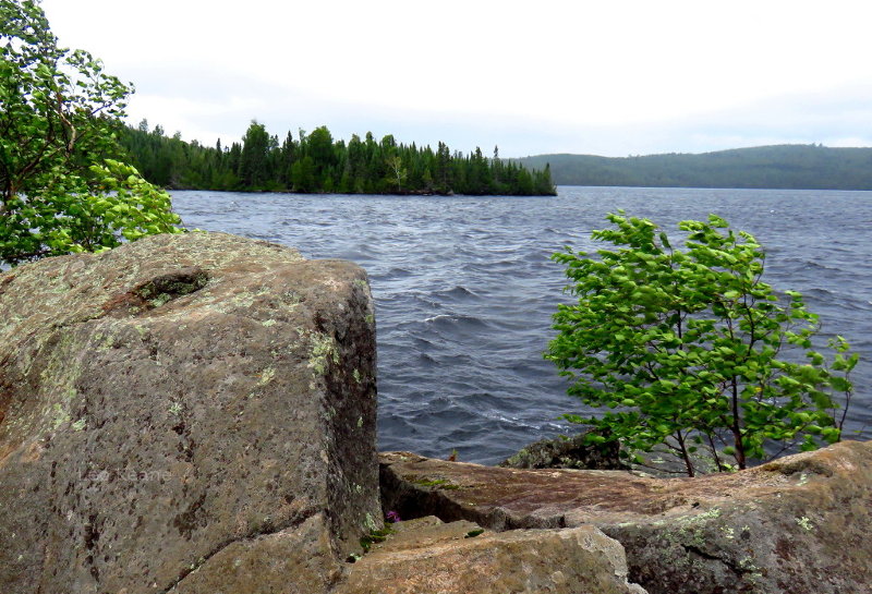 Windy Lake Water in Minnesota