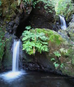 Waterfalls Washington State