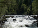 Stream in Yosemite