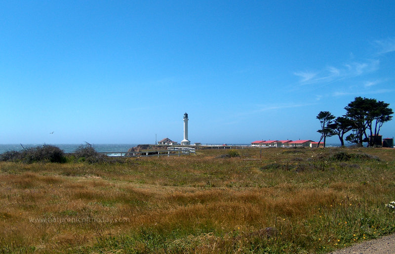 Lighthouse in California