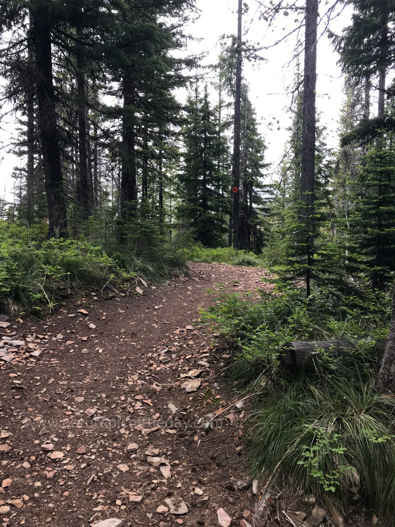 Hiking Trail in Idaho