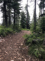 Hiking Trail in Idaho