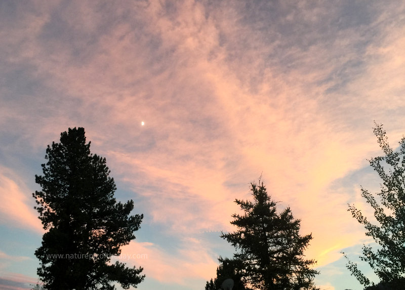 Moonrise, Sunset