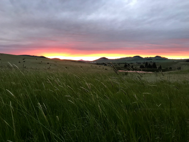 Sunset on the Palouse