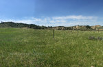 Field and mountains in Eastern Montana