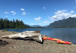 Lake Quinault