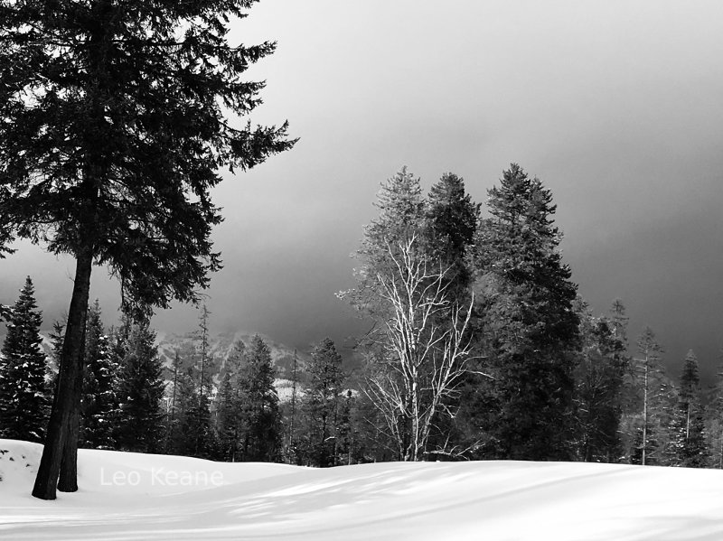 Snow covered Whitefish Lake Golf Course