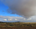 Gorgeous Arizona Desert