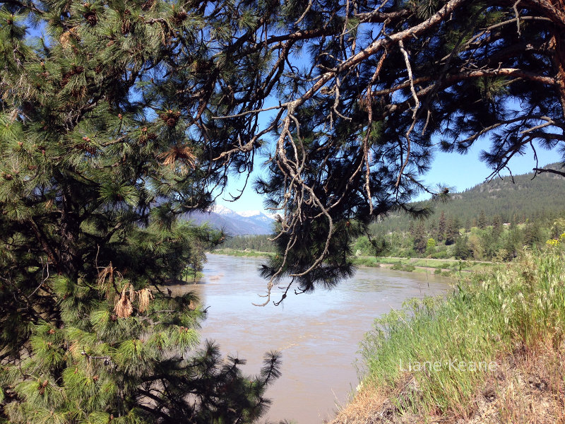 Clark Fork River