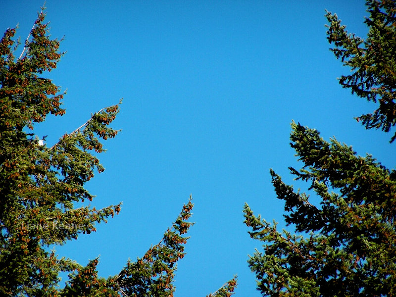 Framed shot of the sky in Montana