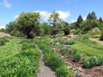 Arboretum in Idaho