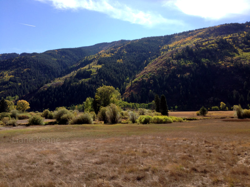 Meadow in Colorado