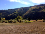 Meadow in Colorado