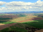 Palouse fields.