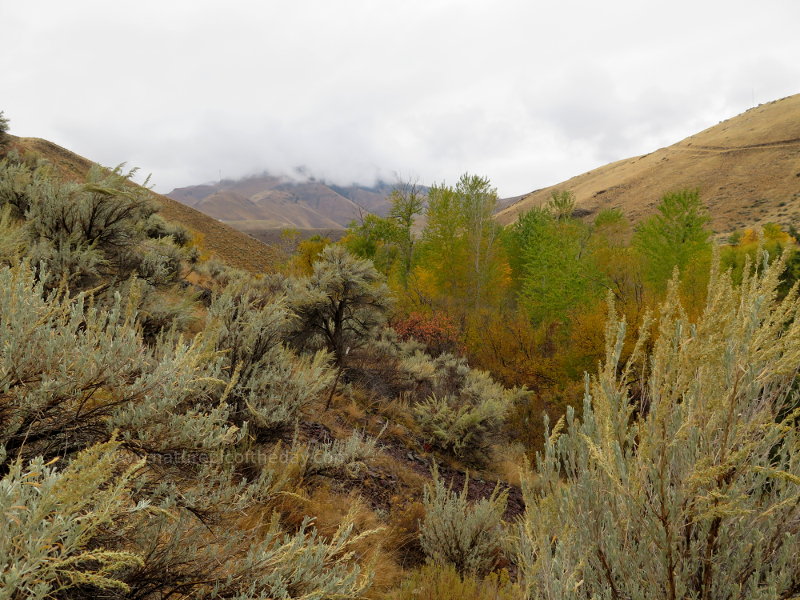 Autumn colors in Idaho