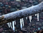 Ice cycles in Glacier National Park