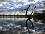 Beautiful Minnesota lake