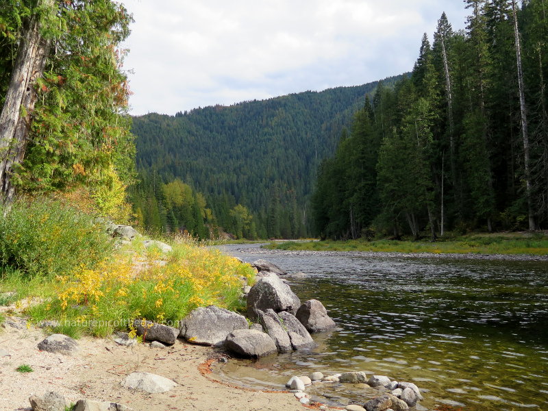 Lochsa River