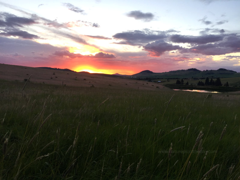 Beautiful Sunset on the Palouse